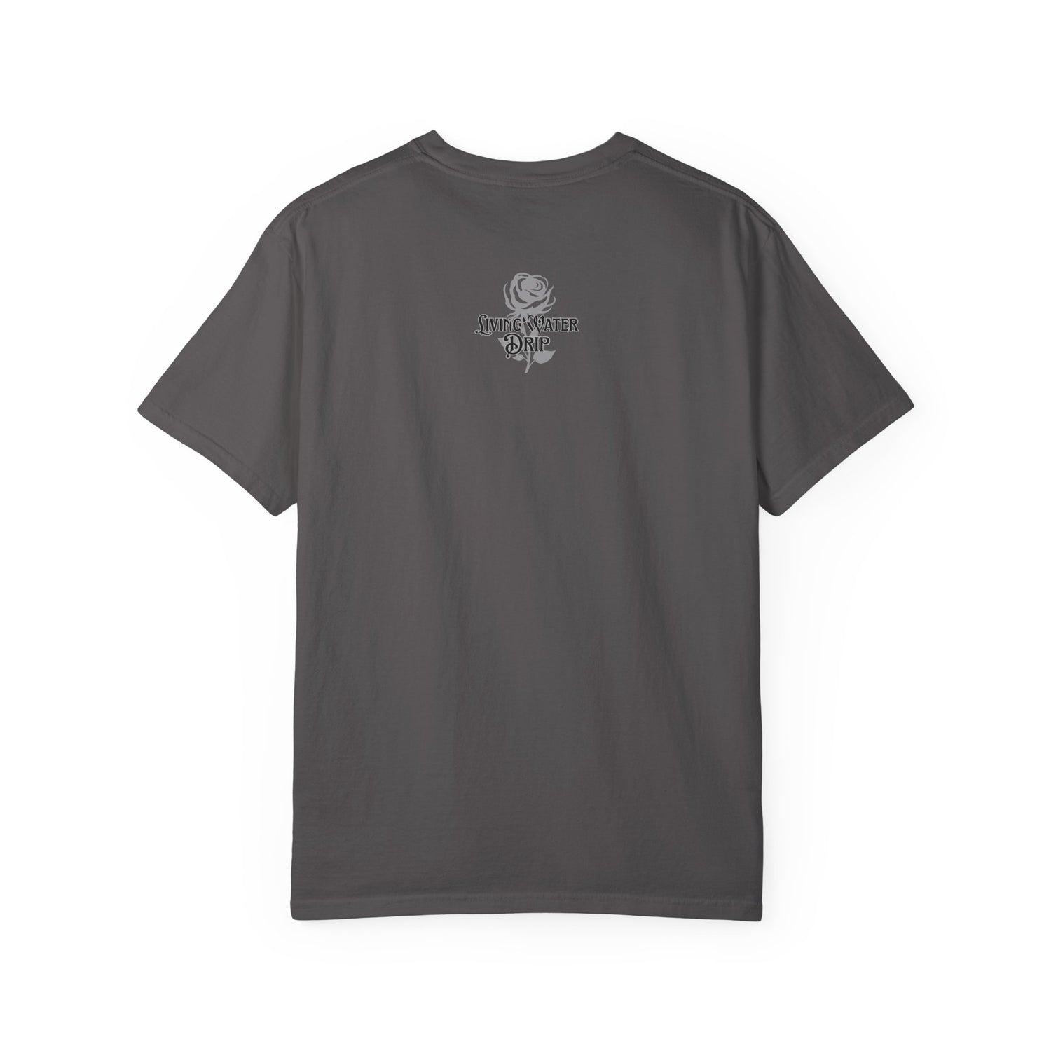 In His Hands T-shirt