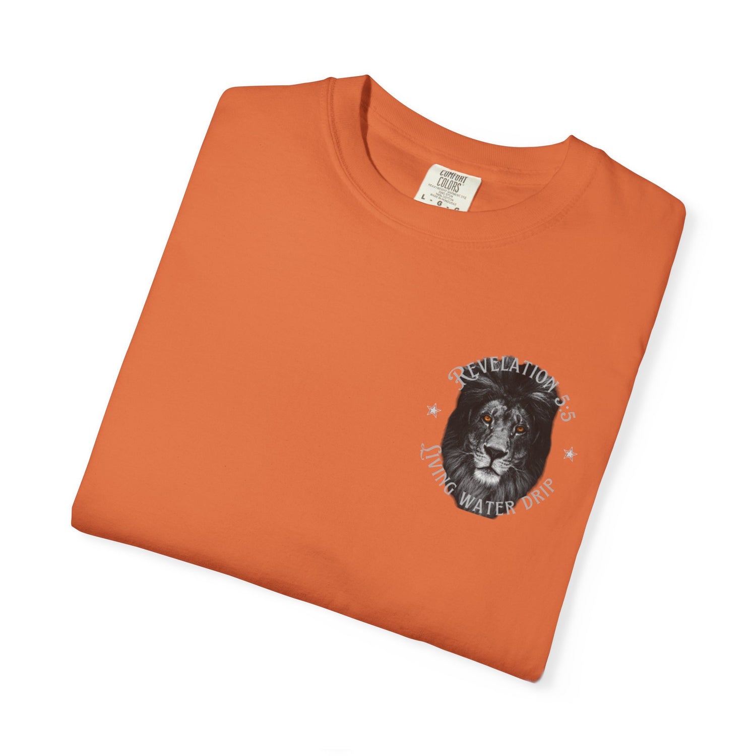 Lion of Judah T-shirt