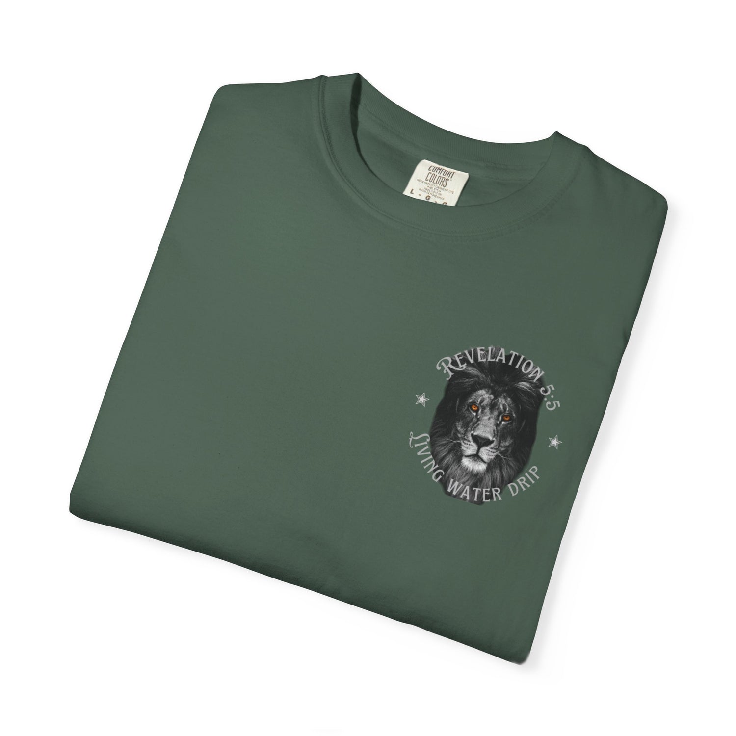 Lion of Judah T-shirt