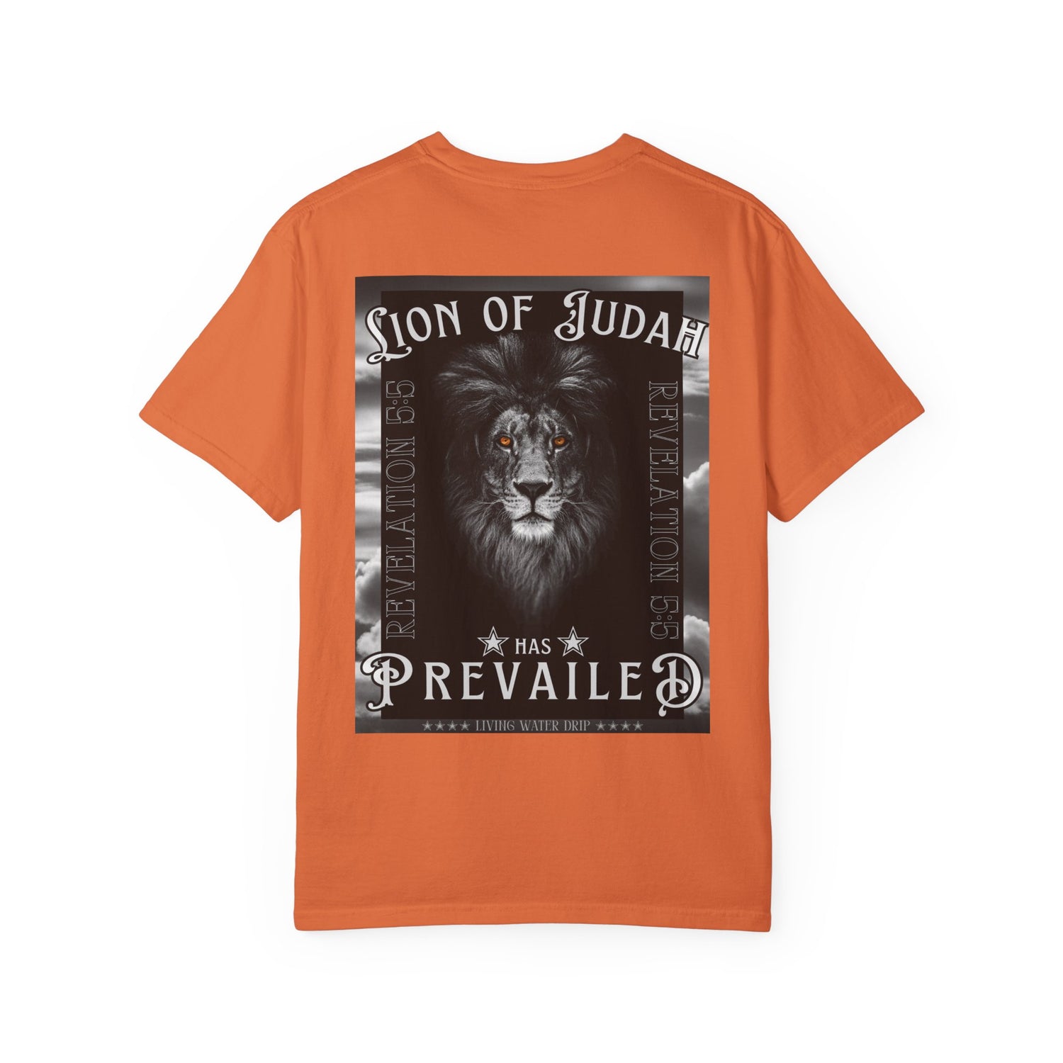 Lion of Judah T-shirt