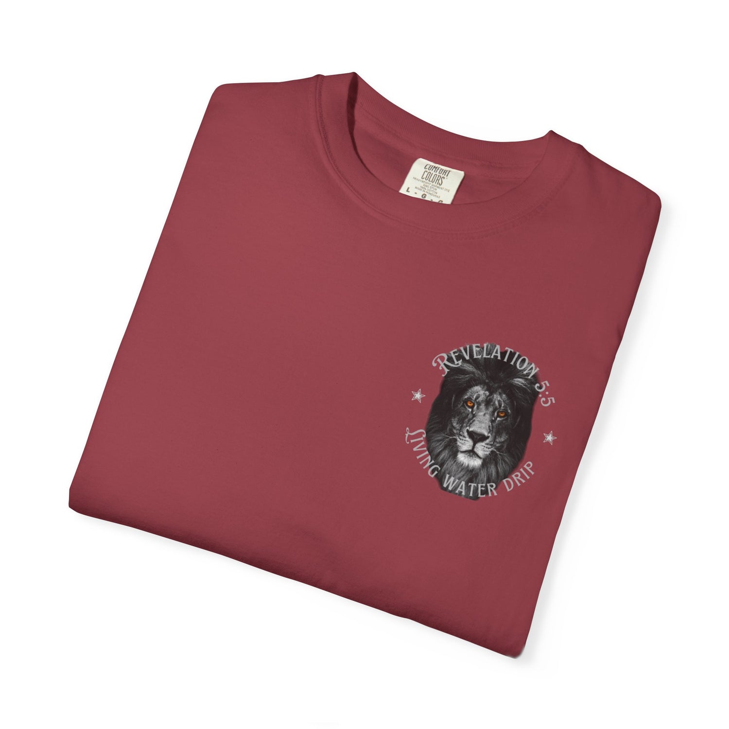 Lion of Judah T-shirt