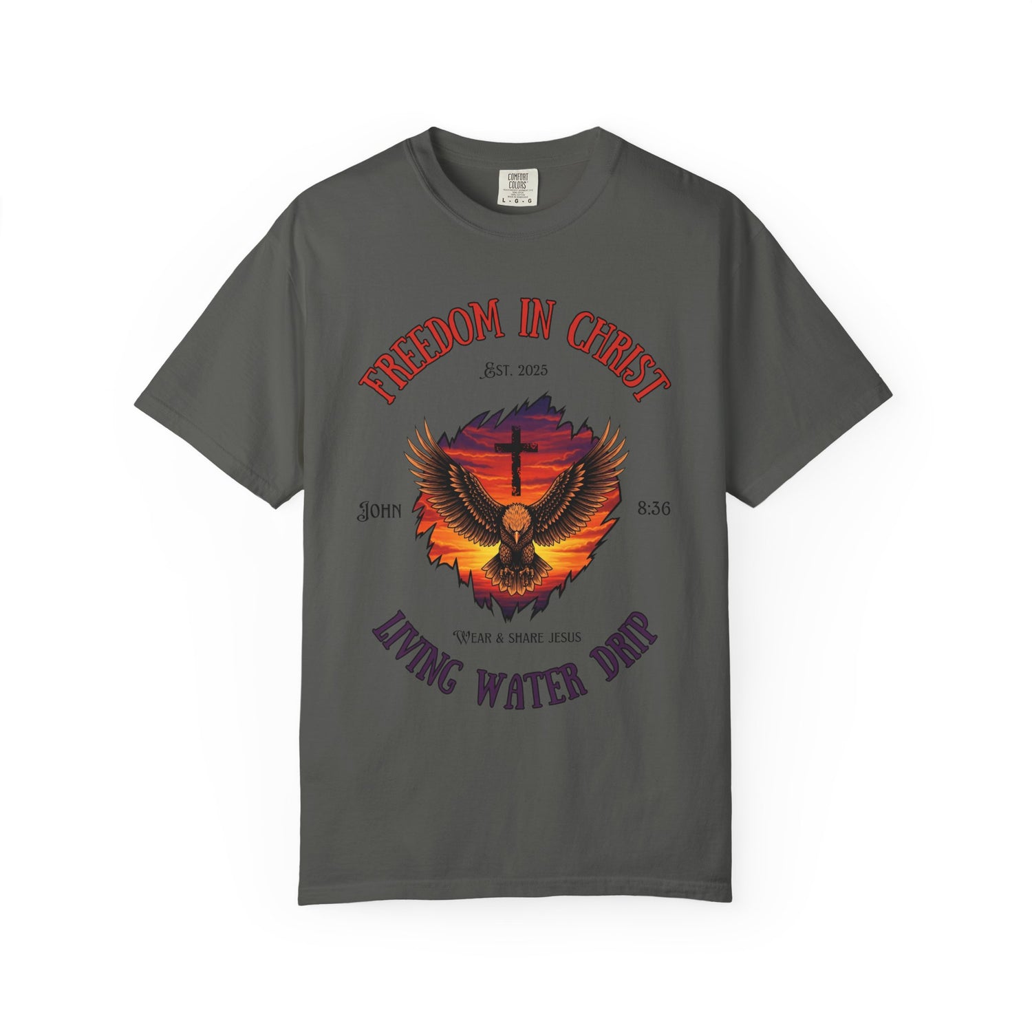 Freedom in Christ T-shirt