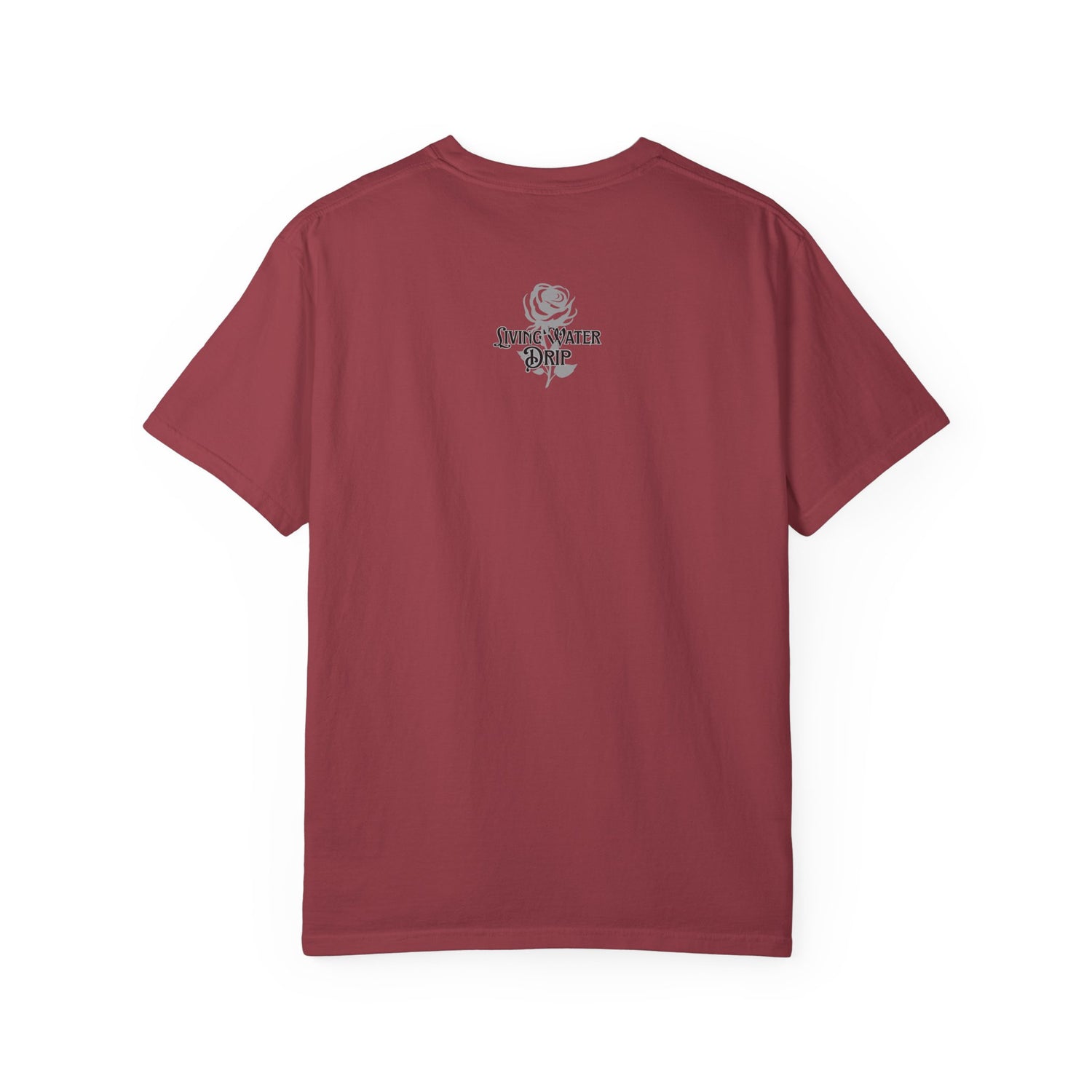In His Hands T-shirt