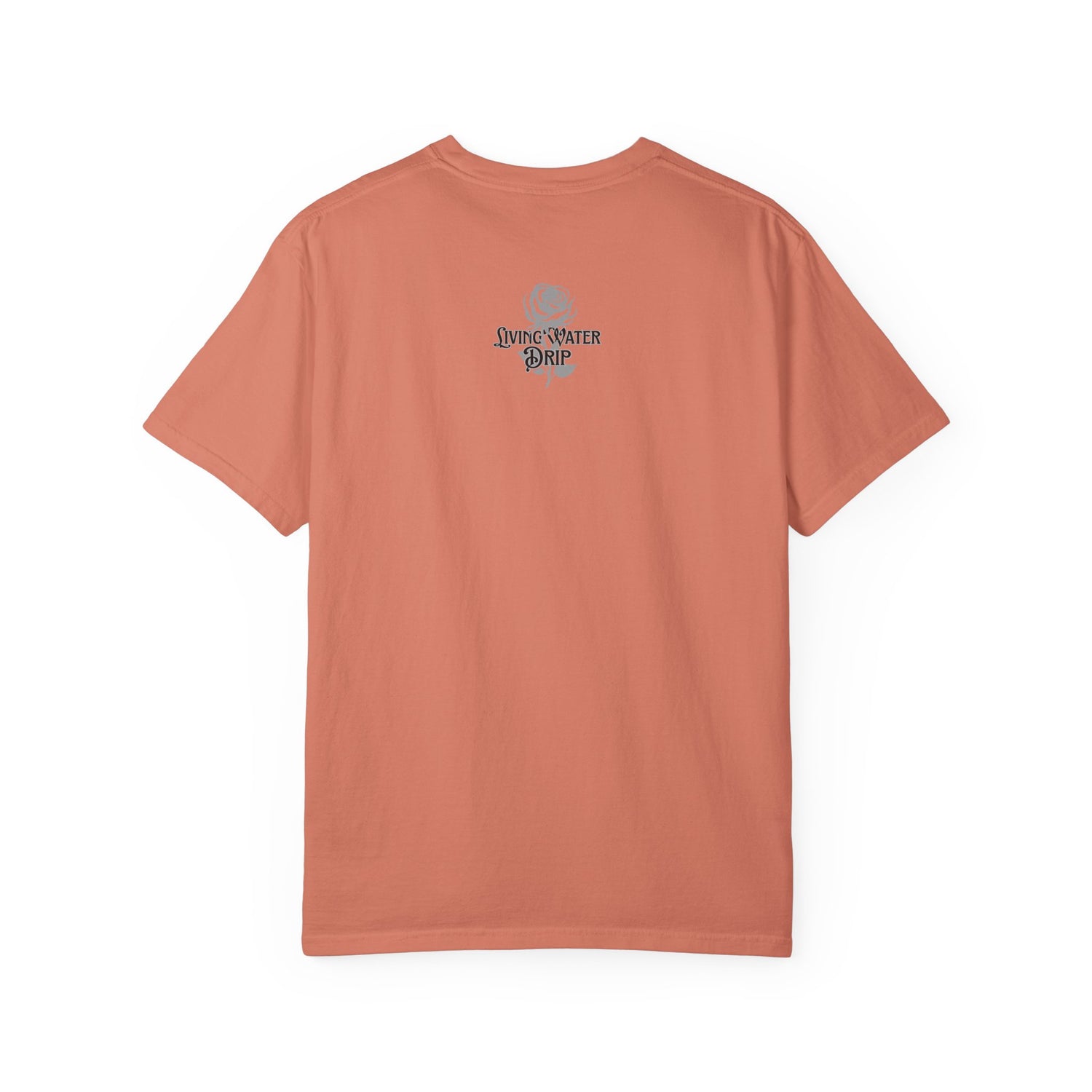 In His Hands T-shirt