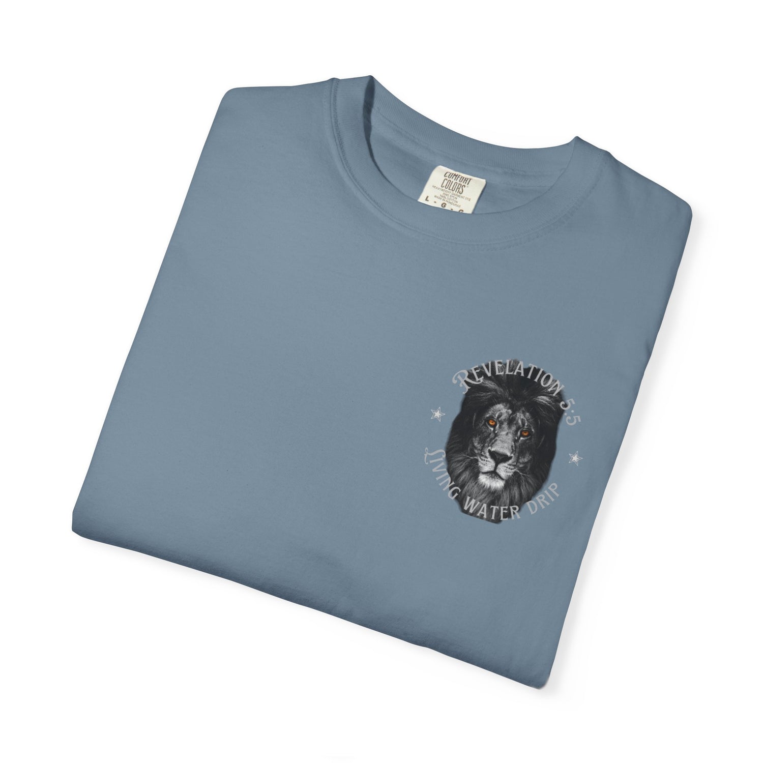 Lion of Judah T-shirt