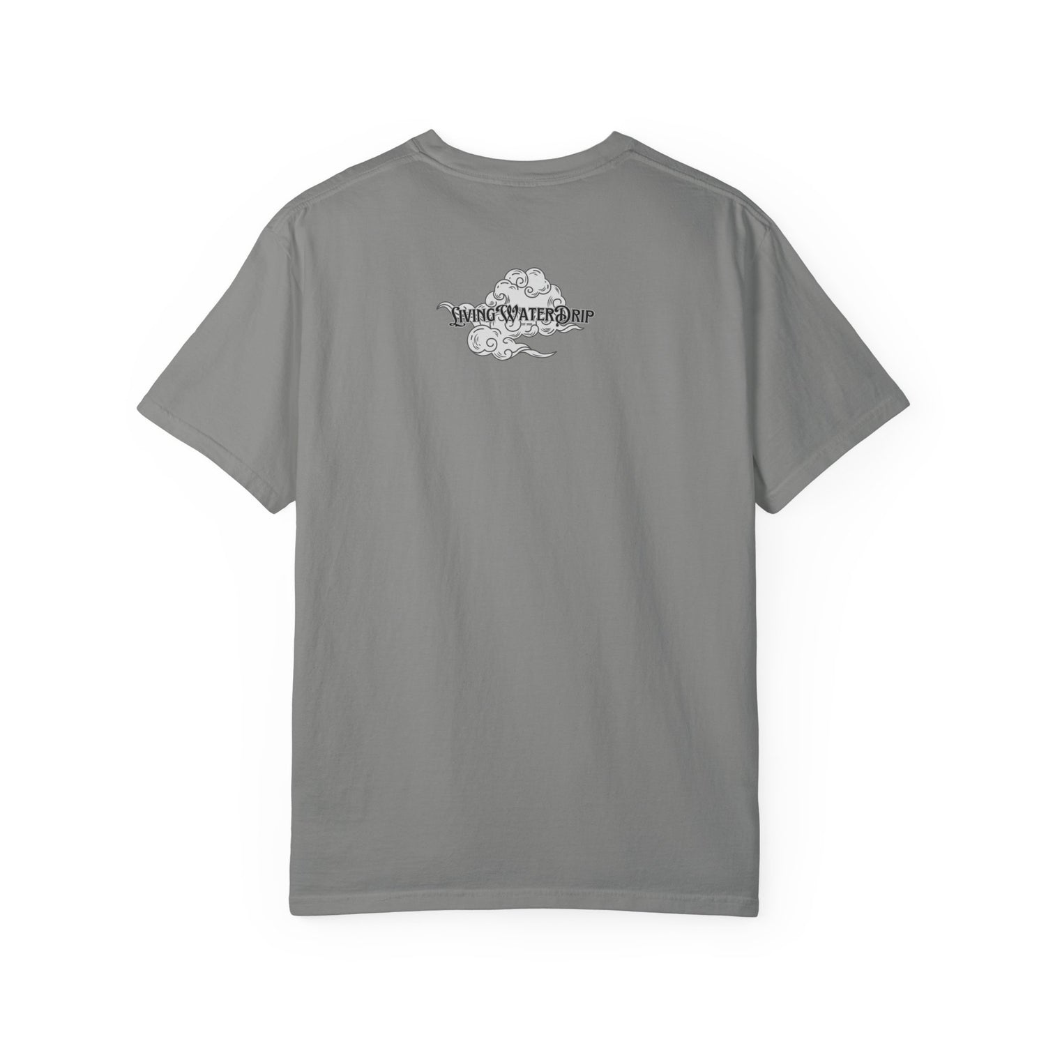 Faithful & True T-shirt