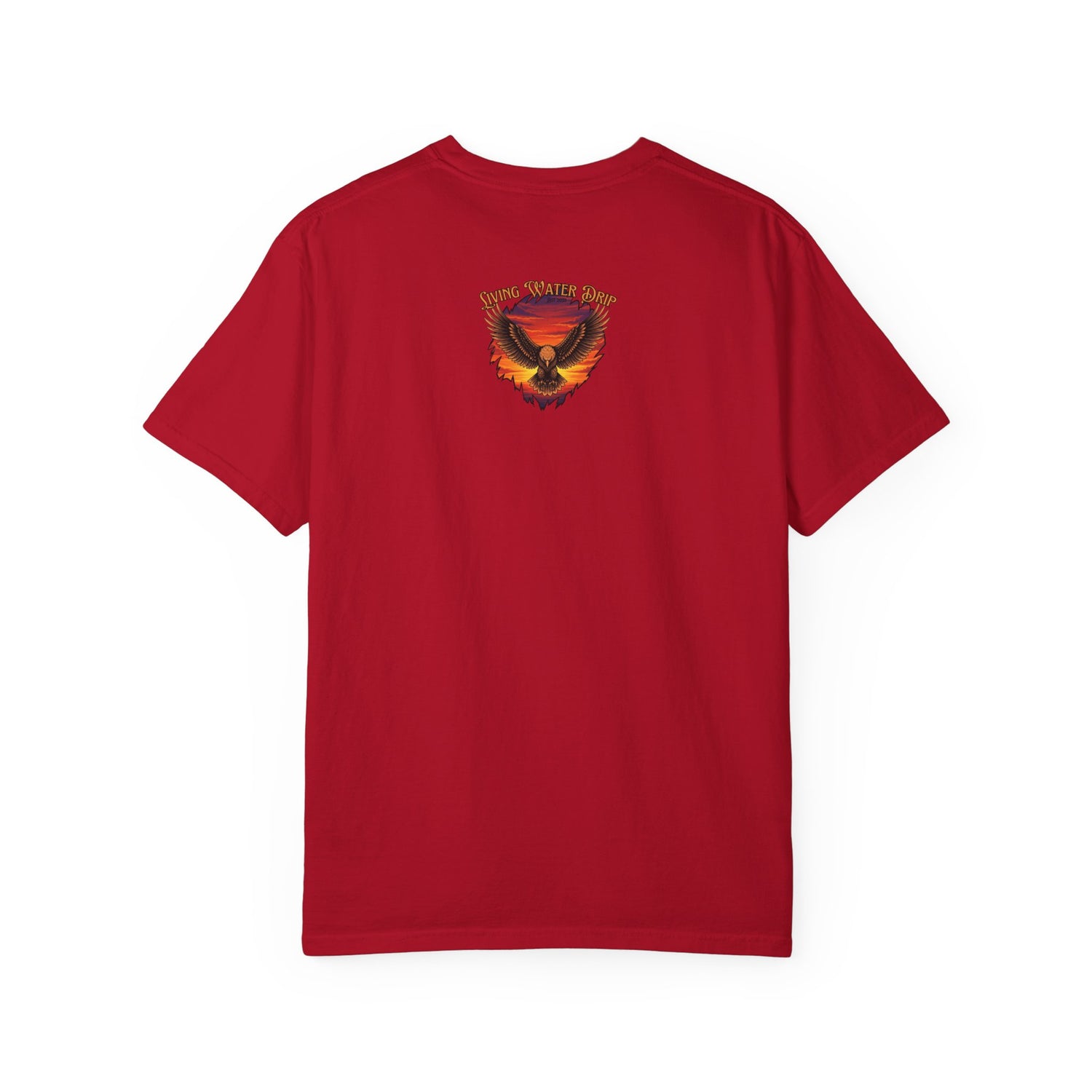 Freedom in Christ T-shirt
