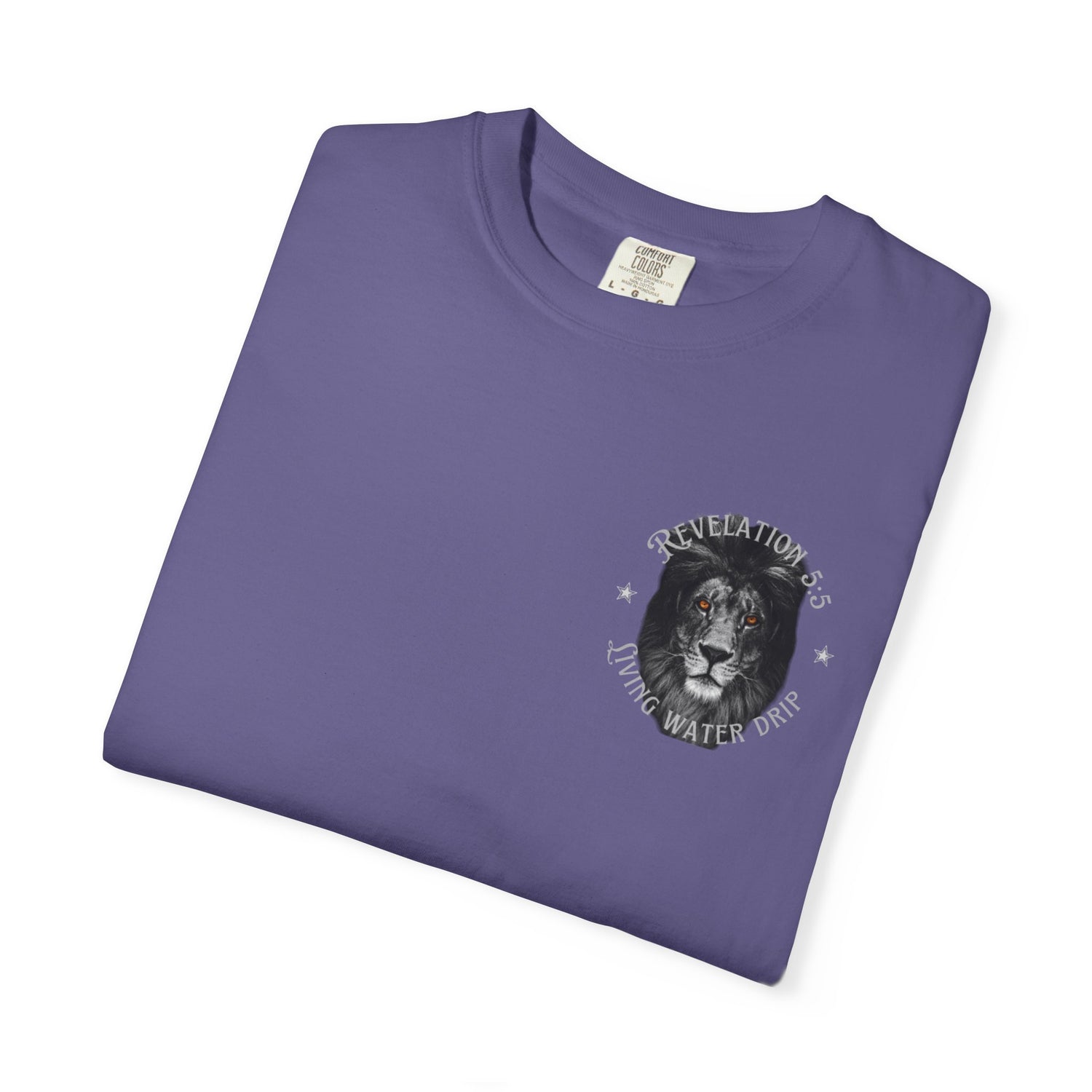 Lion of Judah T-shirt
