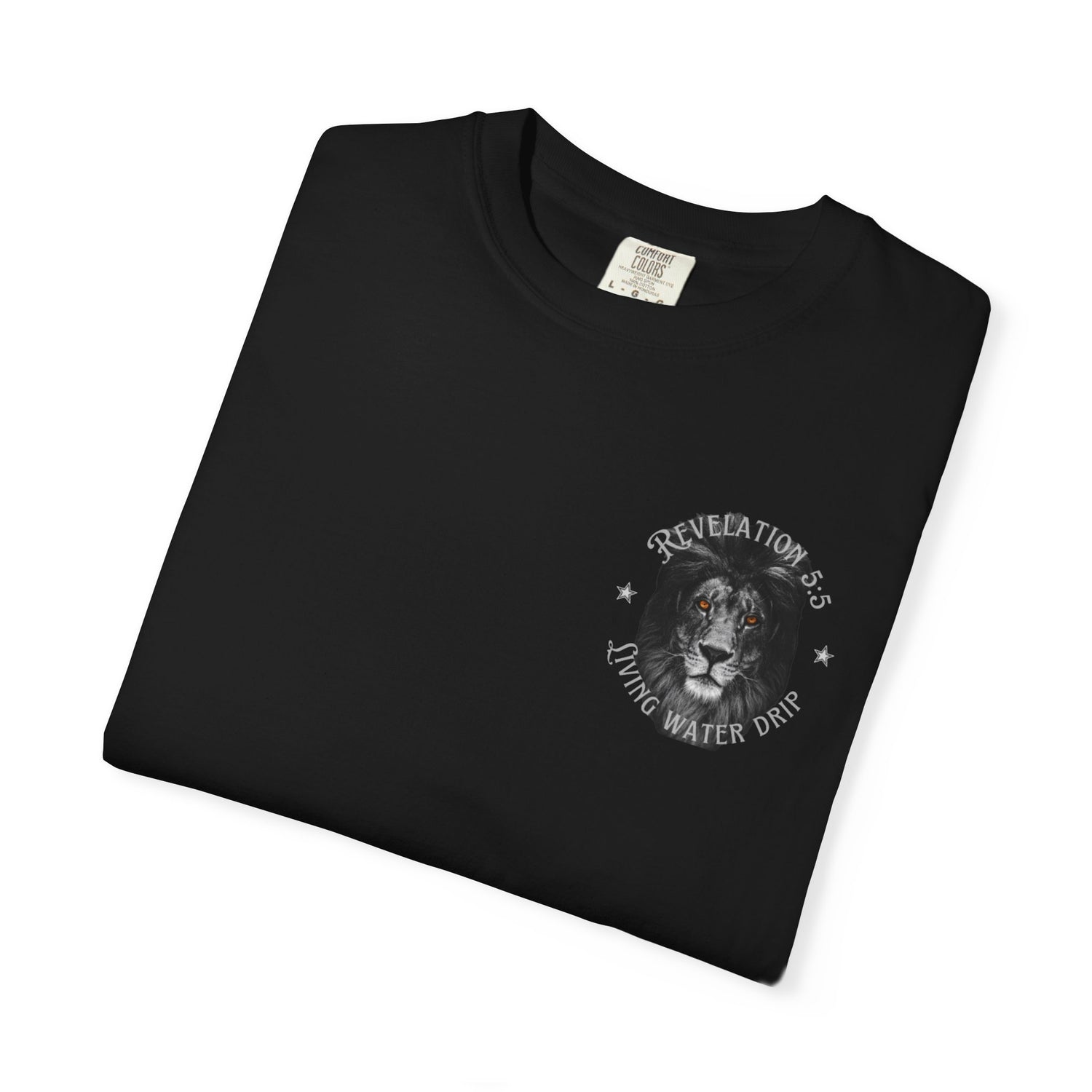 Lion of Judah T-shirt