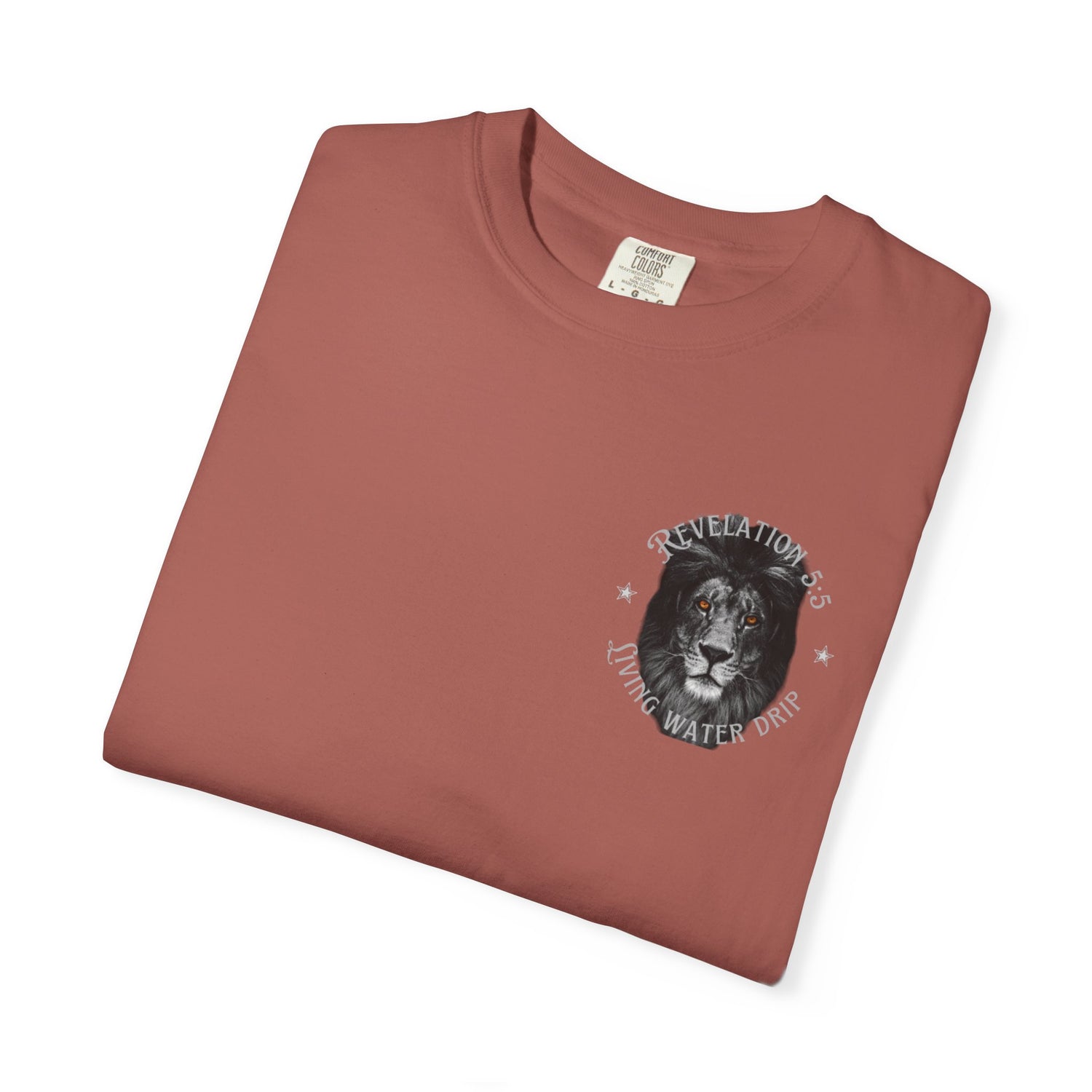 Lion of Judah T-shirt